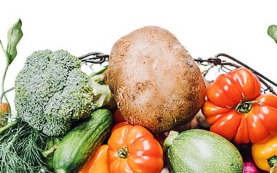 Training for Sunshine